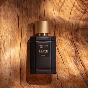 تصویر ادکلن آقایان Absolute Santal By Elite Gentleman 