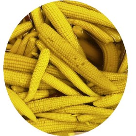 تصویر ذرت بیبی کرن فله 