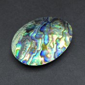 تصویر نگین بزرگ صدف آبالون کلکسیونی (کدA956) 