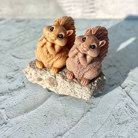 تصویر قالب سنجاب Squirrel mold