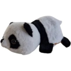 تصویر عروسک پولیشی 2 رو پاندا و راکون 