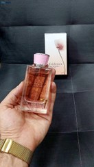 تصویر ادکلن اویدنس زنانه پرفیوم اورجینال اماراتی80میل 