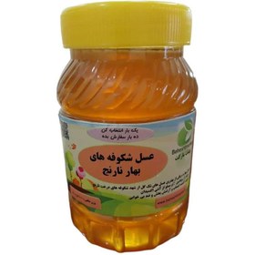 تصویر عسل بهار نارنج( سرشار از ویتامین سی و آنتی اکسیدان) 1کیلوگرم 