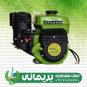 تصویر موتور تک دیانا 8 اسب کولتیواتوری بنزینی گیربکسی DN-10000CG 