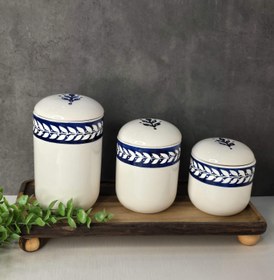 تصویر پاسماوری آبی سفید ۲۶۶ 