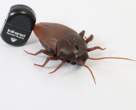 تصویر سوسک کنترلی غول پیکر Giant control cockroach