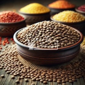 تصویر عدس درشت ساسکن 