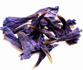 تصویر گل گاوزبان 