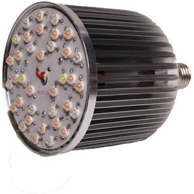 تصویر لامپ رشد گیاه 40 وات رامین نور پایه E27 - A++ / 18 ماه 40 watt plant growth lamp