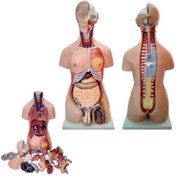 تصویر مولاژ نیم تنه ۲۳ قسمتی مرد و زن 