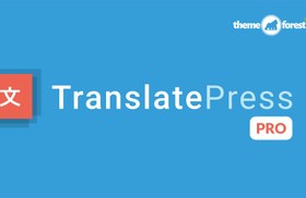 تصویر TRANSLATEPRESS BUSINESS PRO PLUGIN 1.3.1 