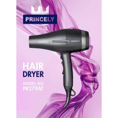 تصویر سشوار پرنسلی مدل PR279AT Princely PR279AT hair dryer