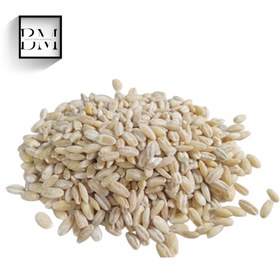 تصویر جوپوست کنده 