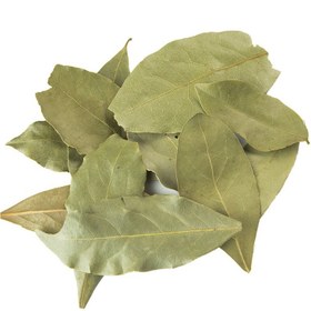 تصویر برگ بو - 2 کیلوگرم 