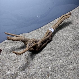 تصویر ریشه آبنوس کد 1004 ارسال این ریشه رایگان می باشد