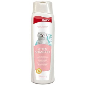 تصویر شامپو بچه گربه بایولاین مخصوص پوست و موی حساس Bioline Kitten Shampoo حجم 200 میلی‌لیتر 