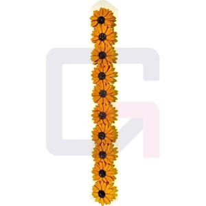 تصویر فروشگاه پخش گلاریس