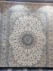 تصویر فرش ۶متری ستاره کویر یزد Kavircarpet