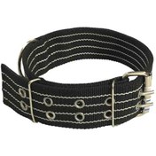 تصویر قلاده سگ 