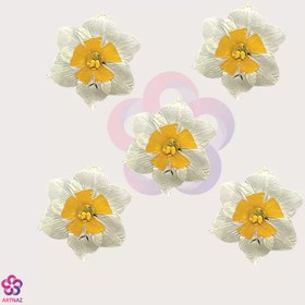 تصویر گل خشک نرگس 