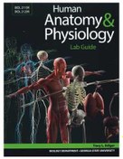 تصویر [PDF] دانلود کتاب Human Anatomy & Physiology Lab Guide, 2020 