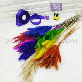 تصویر گل خشک مدل دم روباهی 