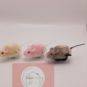 تصویر موش کوکی - کرم 