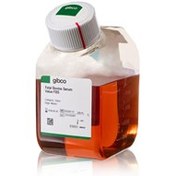 تصویر سرم جنین گاوی FBS گیبکو، fetal bovine serum gibco 500ml A5256701 