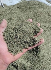 تصویر برگ آویشن باغی Thymus vulgaris 