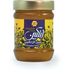 تصویر عسل ۵۰۰ گرمی گزانگبین 