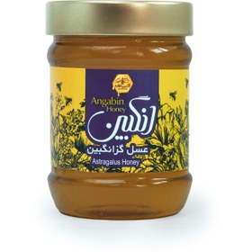 تصویر عسل ۵۰۰ گرمی گزانگبین 