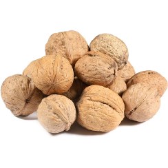 تصویر گردو با پوست 1 کیلوگرم Walnuts in Shell 1Kg