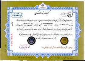 تصویر کود جامد گرانول میکرو پارس – 25 کیلویی 