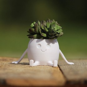 تصویر گلدان فانتزی Happy Pot 