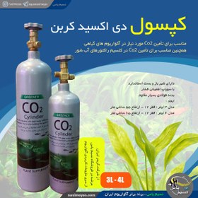 تصویر کپسول CO2 فلزی آکواریوم 4 لیتری گرینر Ocean free CO2 Capsule PM-084