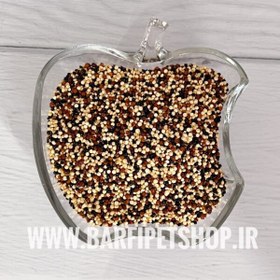 تصویر کینوا چندرنگ 