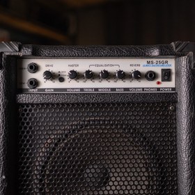 تصویر امپ گیتار الکتریک G&D MS-25GR 