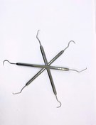 تصویر سوند دو سر کوشا 