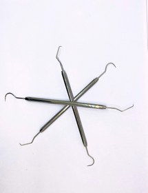 تصویر سوند دو سر کوشا 