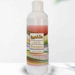 تصویر شامپو ۴٠ گیاه (مخصوص موهای چرب) مورد تایید حکیم روازاده 