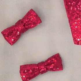 تصویر پاپیون پولکی (جفتی) 