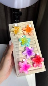 تصویر گلسر پلومریا سایز کوچک 