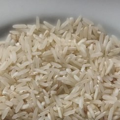 تصویر برنج فجر معطر مستقیم از مزارع چلتوک ممسنی 