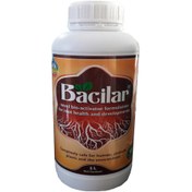 تصویر کود ریشه زا باسیلار ۱ لیتری 