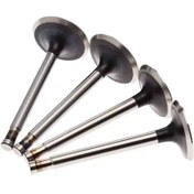 تصویر محموعه سوپاپ دود و هوای موتور xu7 ایساکو 