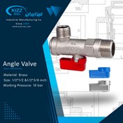 تصویر شیر پیسوار کیز ایران 