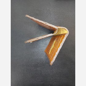 تصویر کیف کارت مدل 06 - سبز 