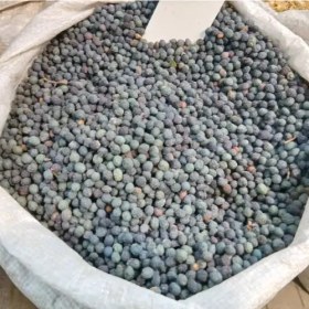 تصویر بنه کلخونک (پسته کوهی) 