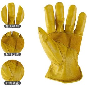 تصویر دستکش چرمی 