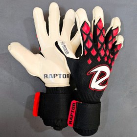 تصویر raptor dragon 